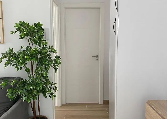 Life Arcos 27 Jerez de la Frontera